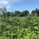 제주토생금공인중개사사무소 이미지