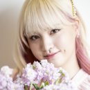 리즈 이미지