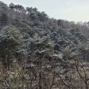 산불 진화도 완료 되었습니다 이미지