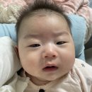 매탄2동 111-114~매탄2동 111-110 | [육아일기] 120일에 쓰는 109일~115일 기록(3개월 완모아기 수면교육)