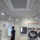 더세탁 | 코인세탁 더 런드리 셀프 빨래방 세탁 결과 &amp; 후기