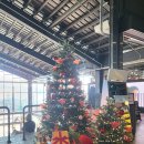 랍스터바 부산 밀락더마켓 | 광안리 생선구이 맛집 화덕으로 간고등어&amp; 밀락더마켓 스타벅스 내돈내산 방문 후기