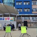 야성초등학교 앞 이미지