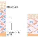 포레의원 이미지