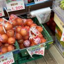 부자축산 | 문래살이 한달차 솔직후기 문래현대1차 안양천뷰 삼대축산정육점 싱싱곳간 픽베이크 그라함트레블러팩...