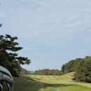 타이거CC 골프장 | 동탄 근처 명문 골프장, 플라자CC용인 타이거 코스 라운딩 후기