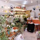 방배로36길 36 이미지