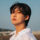 팜 (palm) 이미지