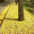 논개사당 이미지