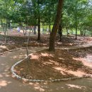 수지체육공원 테니스장 이미지