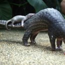 기권농장 이미지