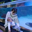 11650-17-165-2 | [생후 165일] 엄마 동생과 함께한 코엑스 아쿠아리움 첫 방문기🐠 (feat. 5개월 아기의 대성통곡)