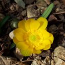 후회는 자기학대다﻿/ 법륜스님 이미지