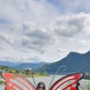 서울댄스스포츠학원 이미지