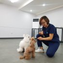 키움 동물병원 이미지