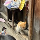 마을상점;마을공방 | 상하이 우전 수향마을 버스투어 야경까지 알찬 코스 후기