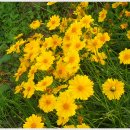 천마산농장 이미지