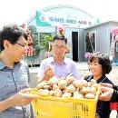 토탈정보통신 뉴시스