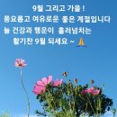 지리산-법계사 ! 이미지