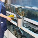 군산 은모래해물탕.아구찜 이미지