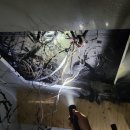 요양병원화장실 이미지