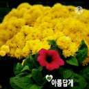 현대생활건강 이미지