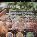 유니원 이미지