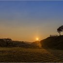 당포의하루 이미지