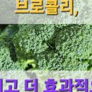 한일농원 이미지