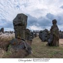 제주돌문화공원 이미지