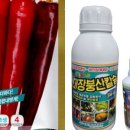 한국농약마트 이미지