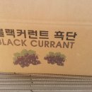 디자인커런트 이미지
