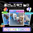 도그유토피아 이미지