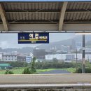 이디야 여수주동사거리점 | [2025.9월]