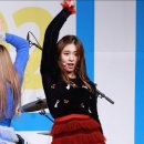 트리메드 이미지