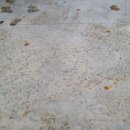 서라벌빌딩 이미지