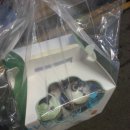 소영약국 이미지