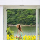 해바라기카페 - 포천시 구절초로 18 | 해바라기카페