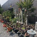 용수목 | [금산여행지][대전 근교][나들이] 금산 용수목 휴게소 방문 후기!