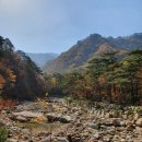 롯데리아속초점 이미지