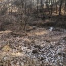 보통3리 마을회관 이미지