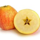 물빛동물병원 이미지