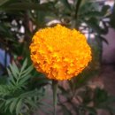 요가수업 이미지