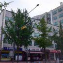 동호빌딩 이미지