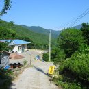 주암산장 Daum카페