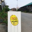 [제주도신창리_카페] 쓰쓰카페