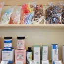 댕댕사우나 이미지