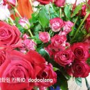 가람꽃화원 이미지