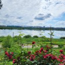 도토리 정원 이미지