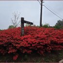 간대산 등산로 이미지